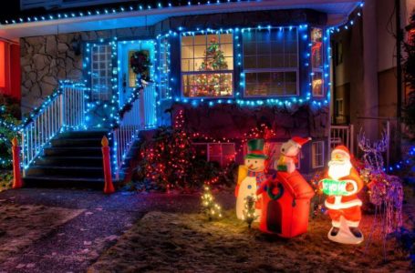6 Best Evergreen Outdoor Christmas Decorations